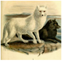 #6
